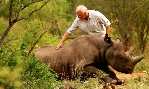 COVID-19 fallout undermining nature conservation efforts: IUCN
