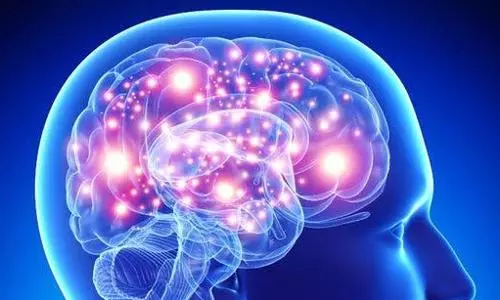 13 new rare gene variants of Alzheimers identified