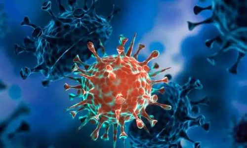 Brazil Covid variant more dangerous: Study