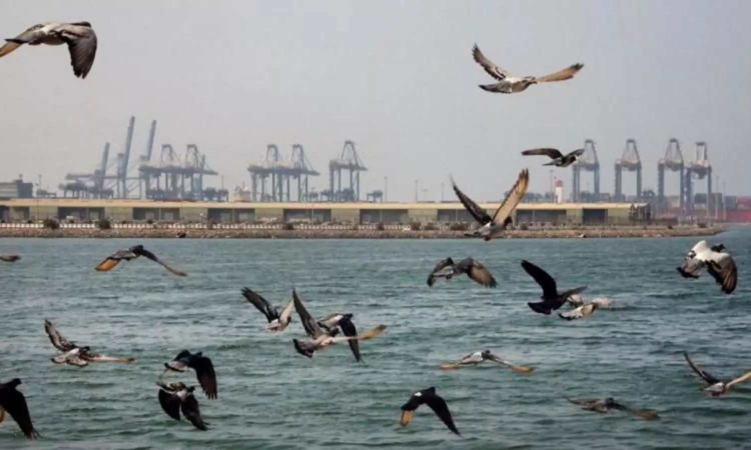 Red Sea port city of Jeddah