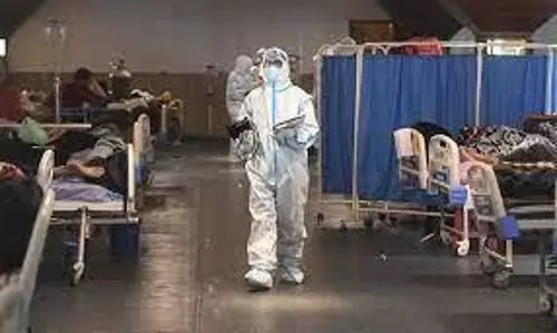 Indias daily COVID deaths soar over 3000 for first time, records 3.6 lakh new cases