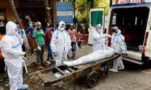 Indias COVID toll surges to 1.95 crore with 3,689 deaths in 24 hrs