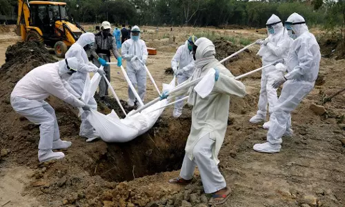 Not Covid deaths, but mass murder