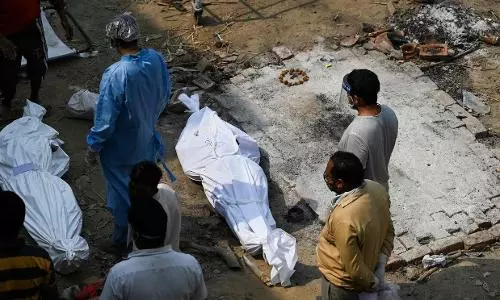 Global COVID caseload tops 156.4 mn, India records 4 lakh new cases