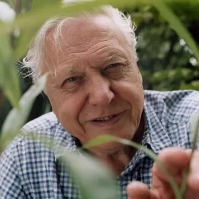 Attenborough becomes peoples Advocate ahead of UN Summit