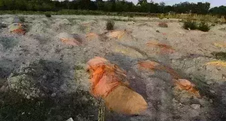 Floating bodies in river have reasons beyond tradition: IE finds