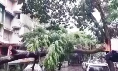 Mumbai under Cyclone Tauktae fury: More damages on ground