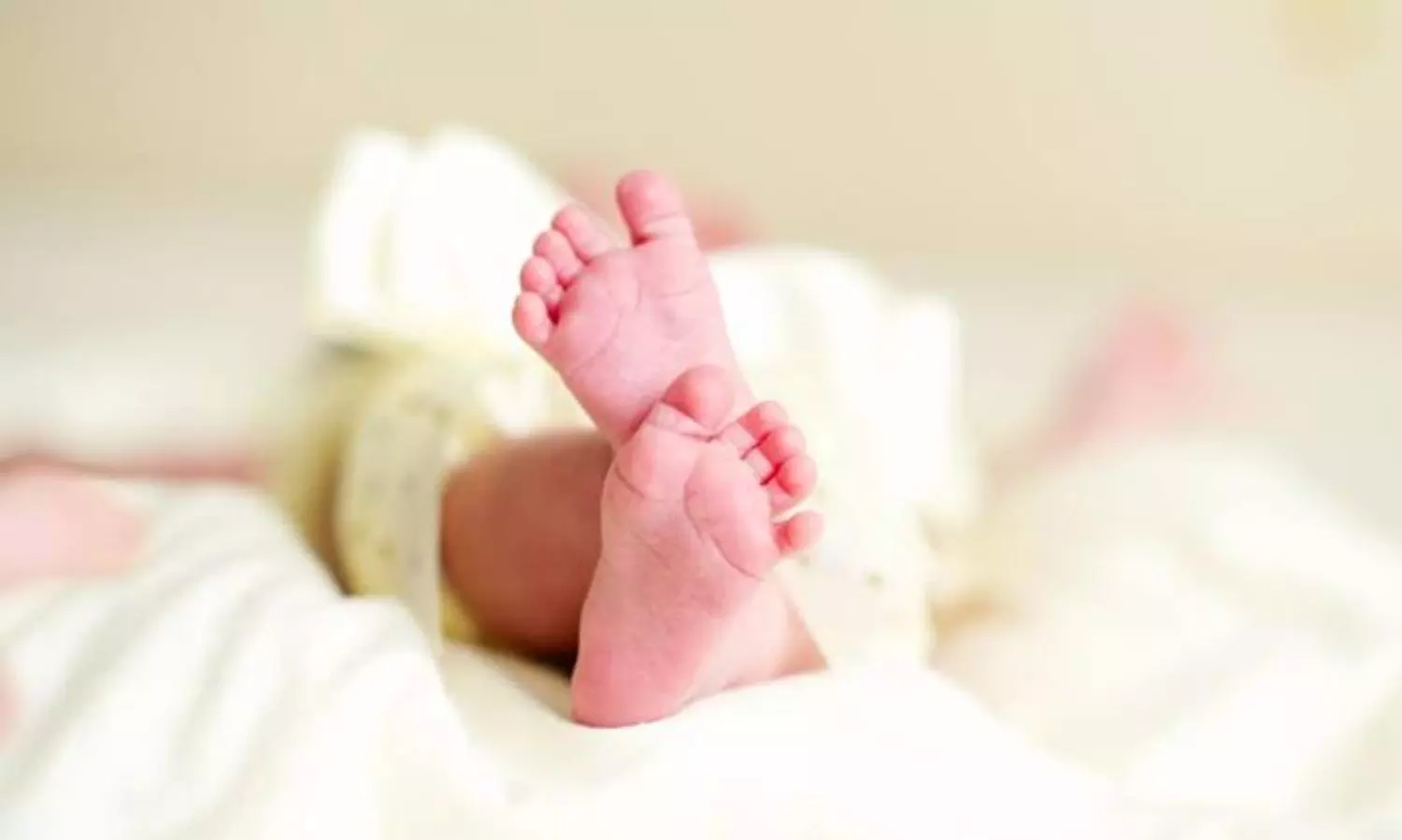 Rats nibble newborns feet at govt hospital in Indore; two terminated