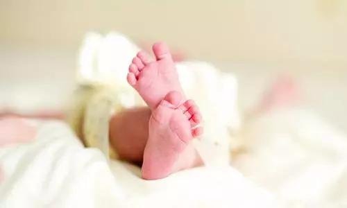 Rats nibble newborns feet at govt hospital in Indore; two terminated