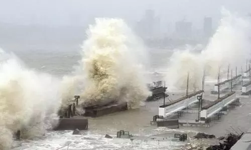 Waned Cyclonic Tauktae likely to move to UP in next 24 hours
