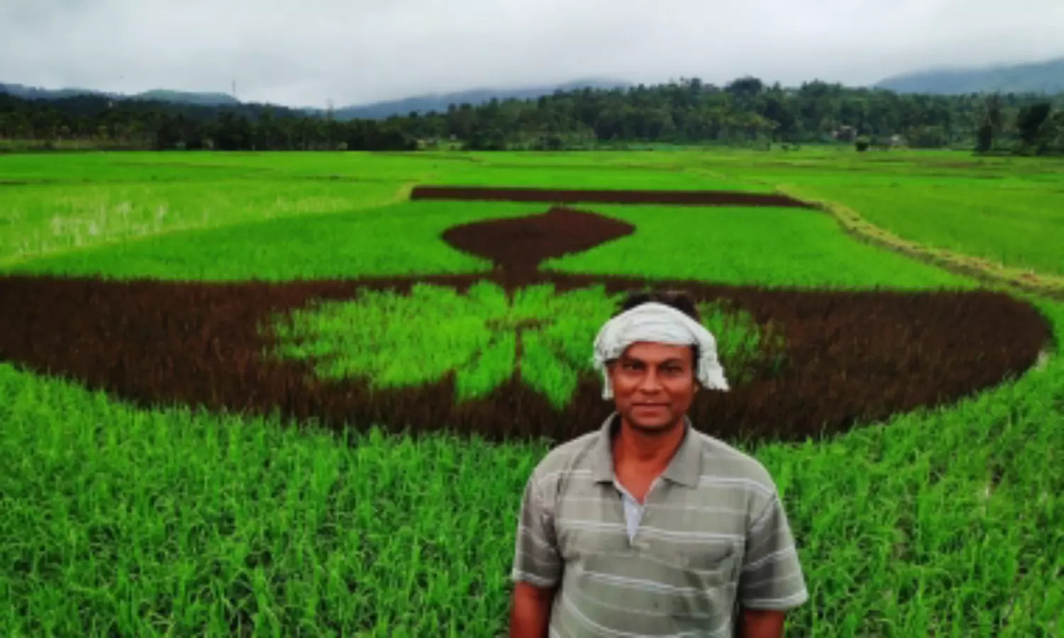 This teacher quits job to turn paddy fields into canvas to promote farming