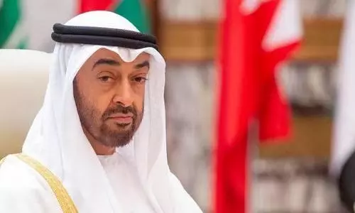 UAE shows willingness to add up efforts towards Israel-Palestine peace