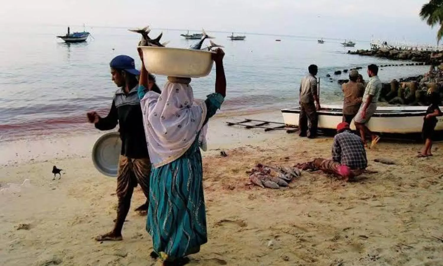 Proposed Goonda Act: A mockery to Lakshadweeps crime rates