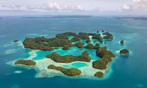 Pacific island Palau confirms its first COVID case