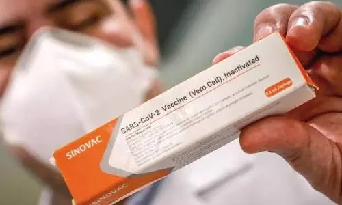 Chinas Sinovac made vaccine gets WHOs approval