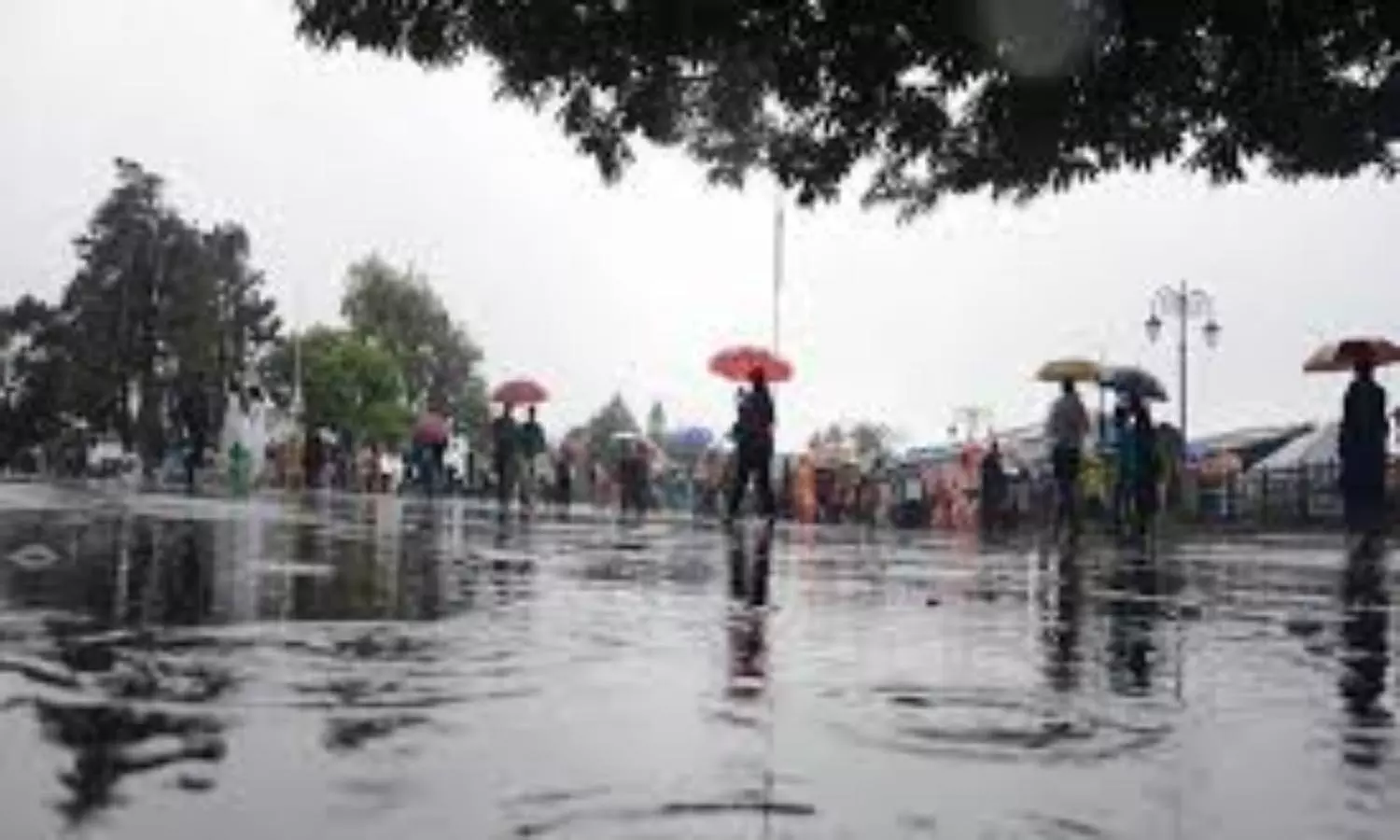 IMD forecasts above-normal monsoon with disturbing showers