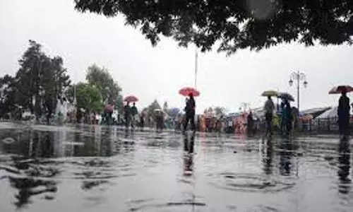 IMD forecasts above-normal monsoon with disturbing showers