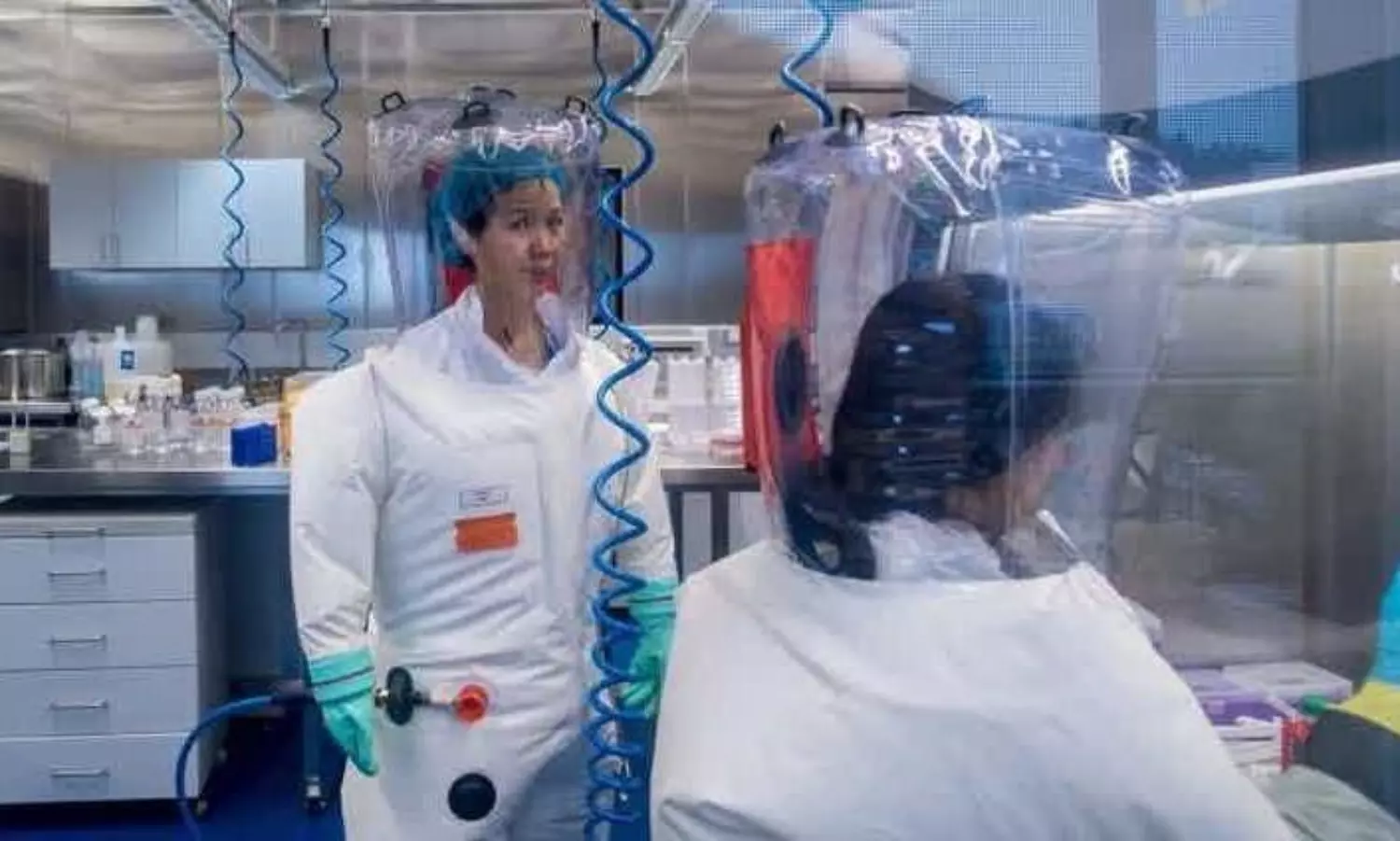 China finds new coronovirus with potential to infiltrate human cells