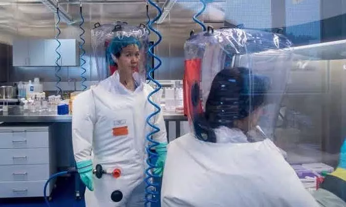 China finds new coronovirus with potential to infiltrate human cells