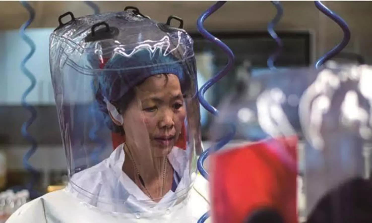 Investigators unravel Wuhan lab heads study flagging Covid risk in paper published in 2015