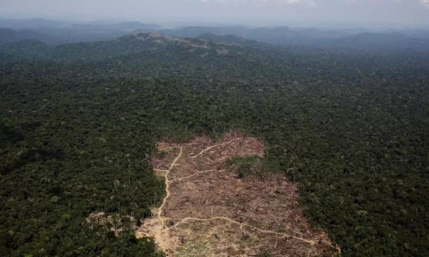 Deforestation of Brazilian Amazon hits record levels in May