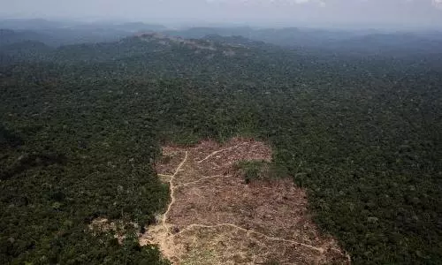 Deforestation of Brazilian Amazon hits record levels in May