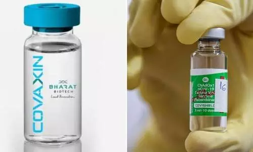 Covishield creates higher immunity against COVID than Covaxin: study