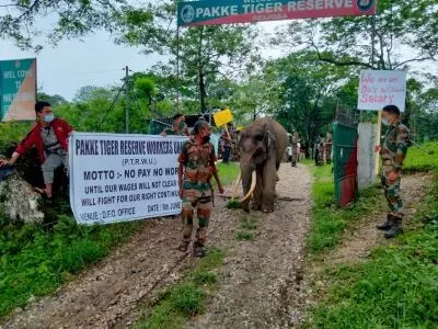 Not paid for 6 months, 202 contingency workers at Pakke tiger reserve go on indefinite strike
