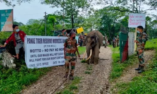 Not paid for 6 months, 202 contingency workers at Pakke tiger reserve go on indefinite strike