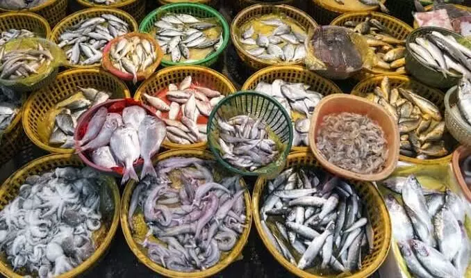 China suspends imports from Indian firms after detecting COVID in frozen seafood