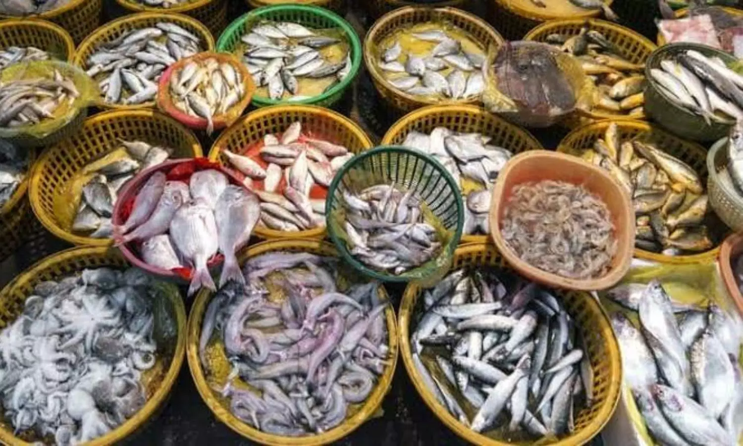 China suspends imports from Indian firms after detecting COVID in frozen seafood