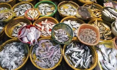 China suspends imports from Indian firms after detecting COVID in frozen seafood