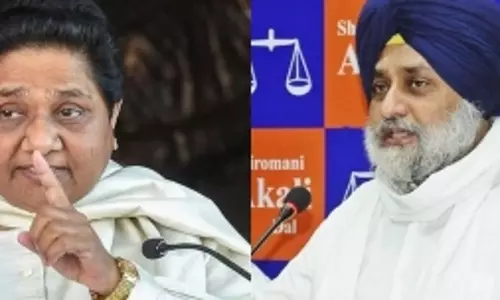 Akali Dali-BSP form alliance ahead of 2022 Assembly polls