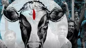 Man thrashed to death by mob in Rajasthan over alleged cow trafficking