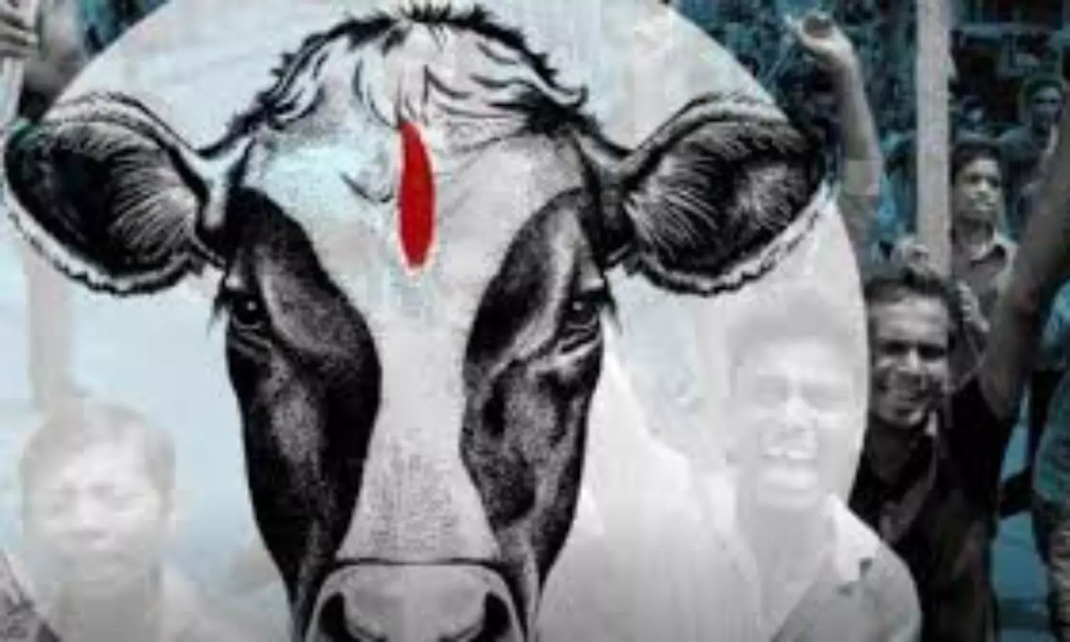 Man thrashed to death by mob in Rajasthan over alleged cow trafficking