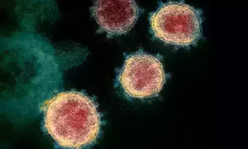Covids original strain anti-bodies dont bind well to newer variants, finds study