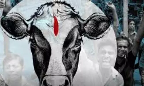 Man thrashed to death by mob in Rajasthan over alleged cow trafficking
