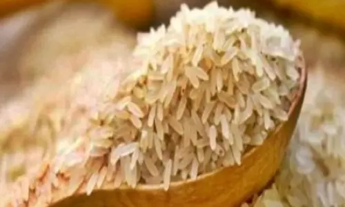Basmati rice wars: India-Pak agrees for joint ownership