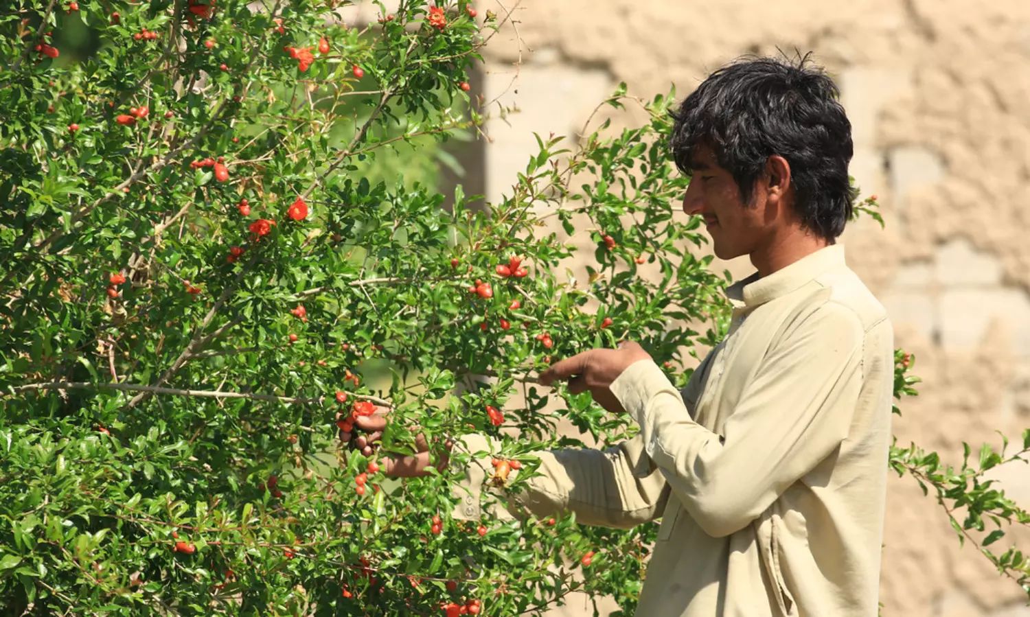 Karnataka to boost horticulture using Israeli techs