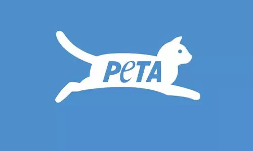 PETA requests DGCI to replace calves serum in vaccine production
