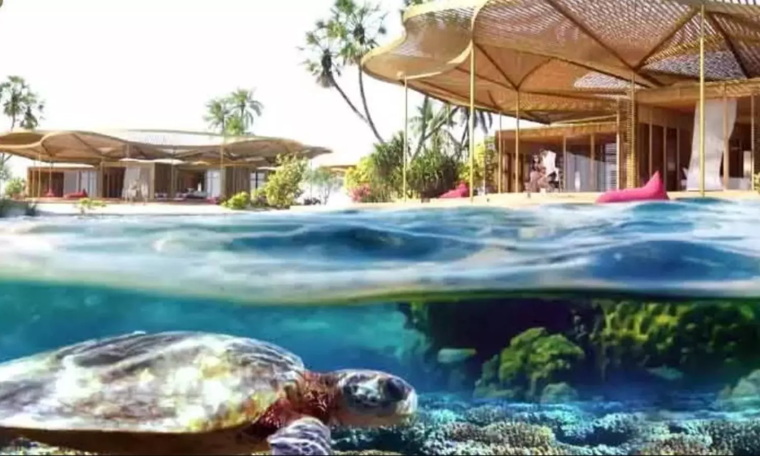 Saudi Arabia unveils two major biodiversity developments projects