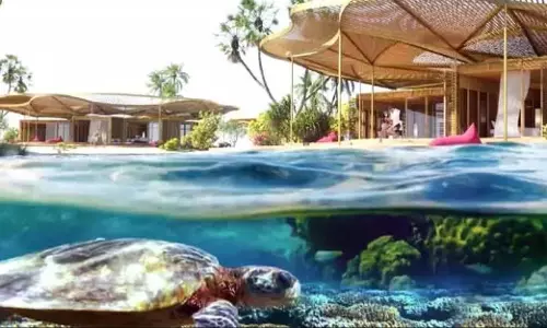 Saudi Arabia unveils two major biodiversity developments projects