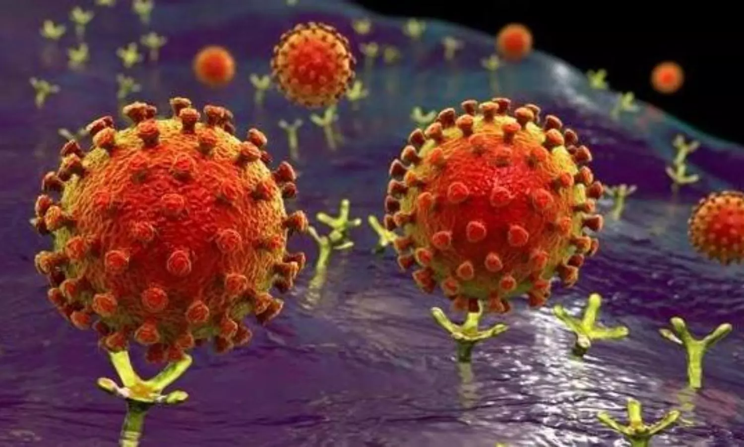 COVID-19 origin: Study finds SARS-CoV-2 highly adapted to infect human cells