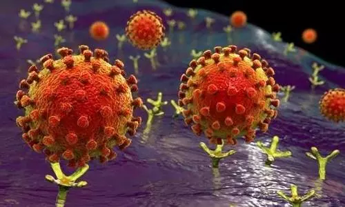 COVID-19 origin: Study finds SARS-CoV-2 highly adapted to infect human cells