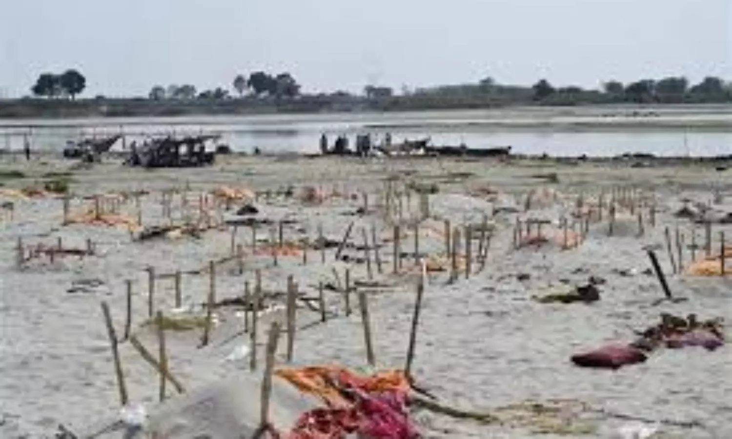 Graves crumple along Ganga as water level rises, bodies float around in UP