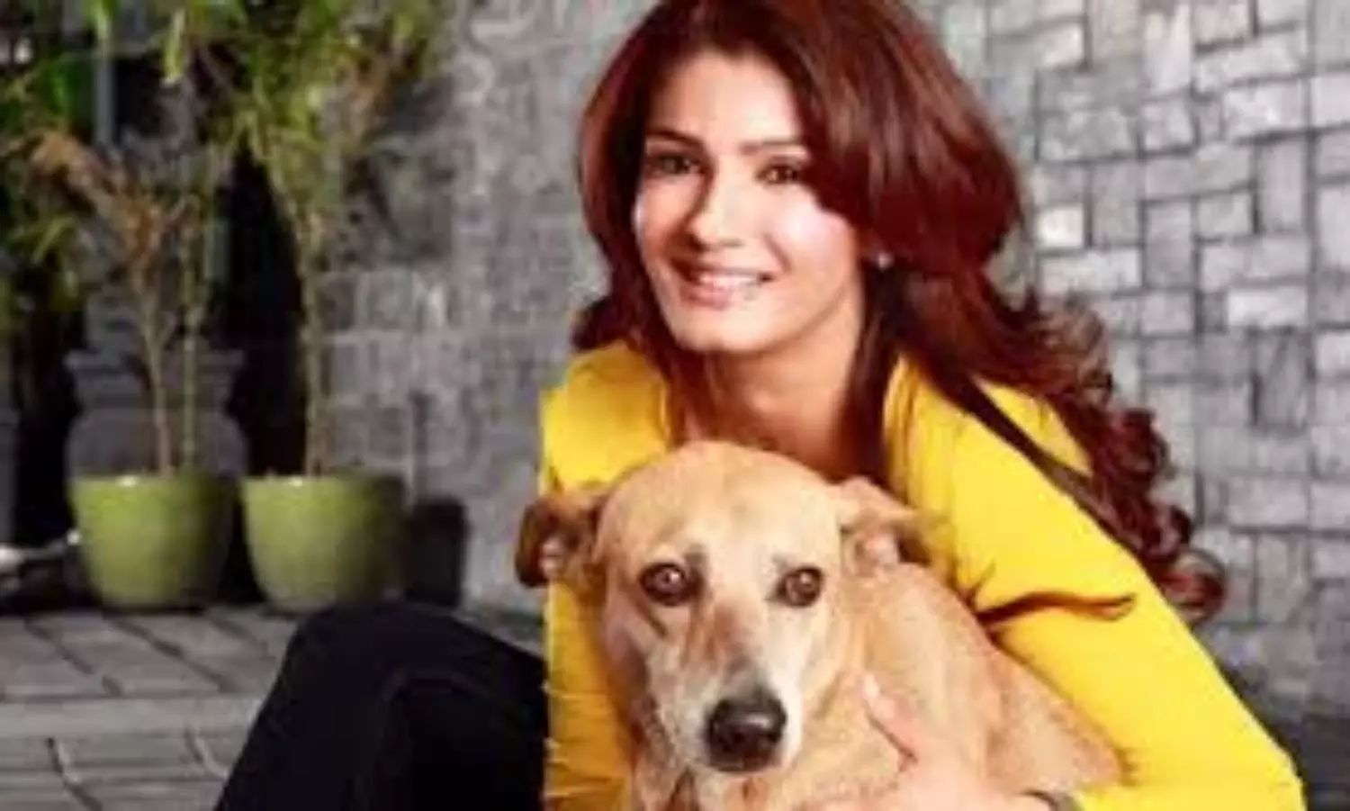Raveena Tandon expresses concern on increasing wildlife roadkills