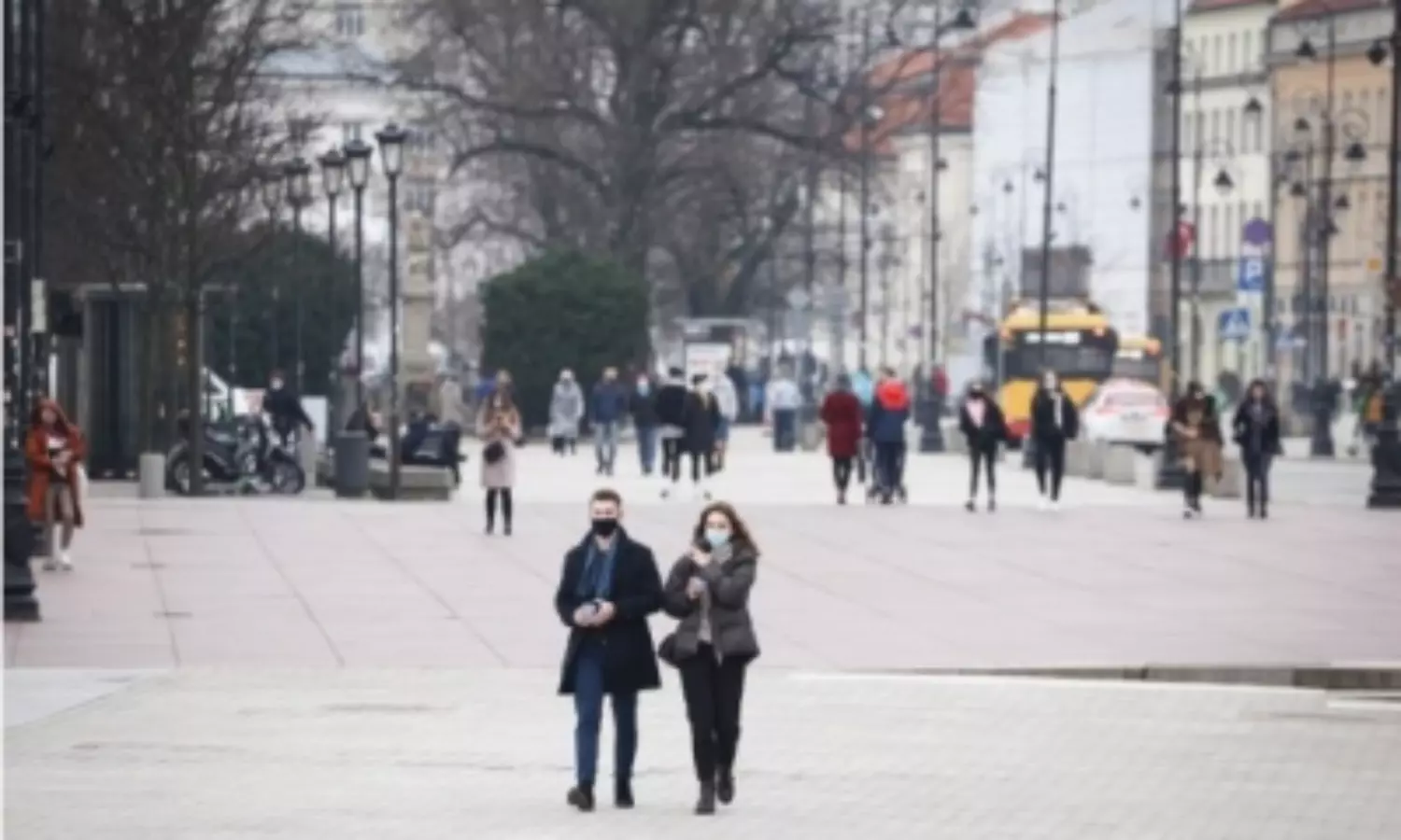 ECDC, WHO develop new tool to access contact tracing programs