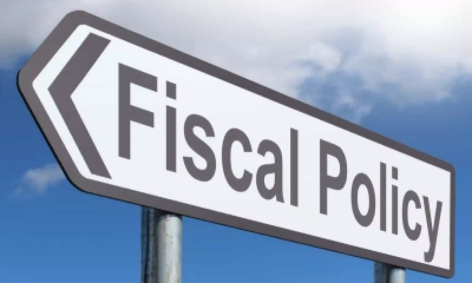 Strong fiscal policy support needed for economic growth: EY India