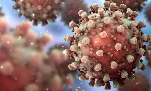 Study reveals mechanisms of increased infectivity, antibody resistance of SARS-CoV-2 variants