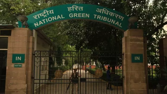 National Green Tribunal prohibits deforestation for diamond mining